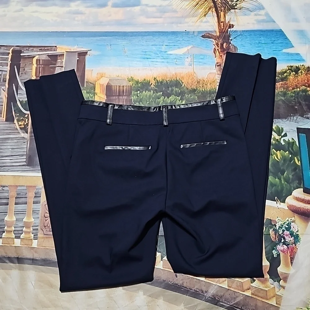 Ann Taylor Pleated Dress Pants Size 4 NWT